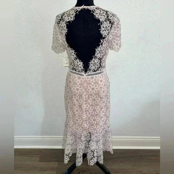 🌷 Host Pick 🌷 NWT! SAYLOR Lillie Dress in Ivory and Blush - Size Large - Picture 5 of 10